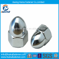 Made in China Stainless Steel Long Dacorated Cap Nuts